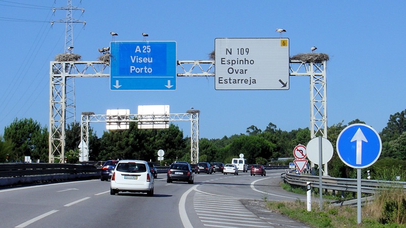 Por Husond - Obra do próprio, CC BY-SA 3.0, https://commons.wikimedia.org/w/index.php?curid=4374859